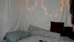 Akgingersnaps  11-02-2021